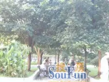 户型方正,采光好,精装修,家具家电齐全