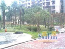 汉渝路 精装修两房 安心卖