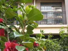 联发江岸汇景 江景大三房 居家装修