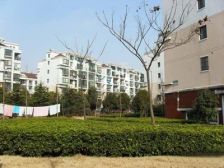 唐镇·鑫唐佳苑·3室·2厅