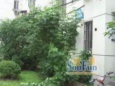 嘉定老城·银杏小区·1室·1厅