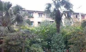 绿杨邨4室2厅南