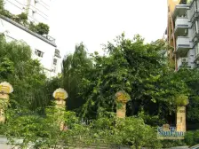 冉家坝大龙山公园旁精品两房交通方便配套成熟诚心卖