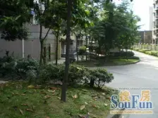 诚心卖 时代菁英 两室 采光好 环境好 直厅