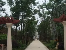 南岸区 十号线 兰花路站 雅居乐国际花园精装修四房