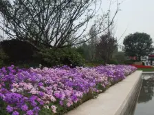 雅居乐精装四房,楼层视野佳,采光充足!