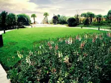 经开区 雅居乐国际花园六房350万