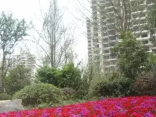 雅居乐国际花园二三期 5室1厅 南 北