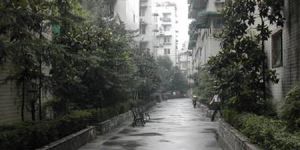 撷英卉苑3室1厅南