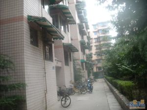 撷英卉苑2室2厅西南