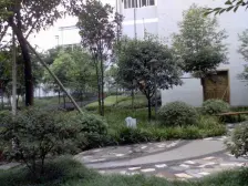 步行街 秋实华庭紫苑三房100万