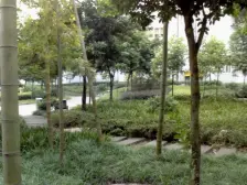 步行街 秋实华庭紫苑二房82万