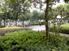 步行街 轻轨站 户型方正闹中取静 大阳台