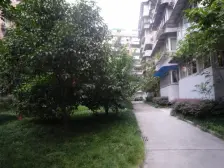 小区停车方便 西区环境优雅出行方便,采光好。