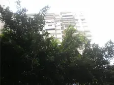 马王乡 龙泉村二房