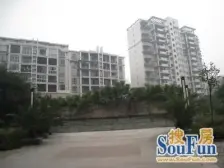 精装修,成熟商圈,户型方正带花园,采光好