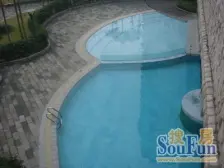 看中庭绿植景观,看江,视野开阔雍江苑精装修户型方正