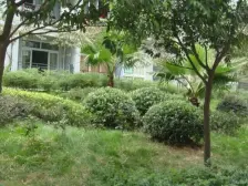 南桥寺轻轨站旁 正规电梯两房