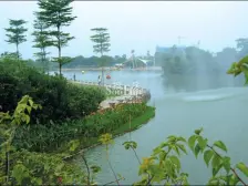 君兰旁联排别墅,320占地北滘新城海琴靓装,单边花园