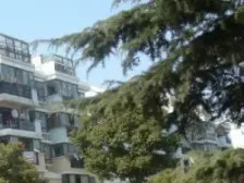 唐镇近地铁800米 临河、小套户型诚意出售