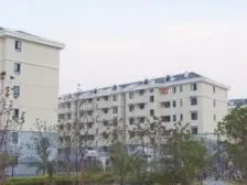 张江东,近地铁,齐配套,好位置,户型好,业主诚意卖