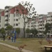 业主诚心出售,看房随时,高层,视野好