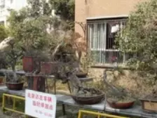 长征·建德花园海棠苑·2室·1厅