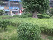 滩子口片区 广厦城C组团四房125万