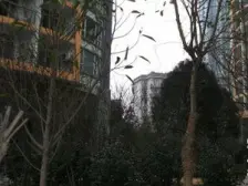 凤天路 凤鸣山水国际四房139.5万