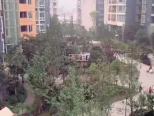 山水国际 正规三房双卫 朝向安静 交通便利