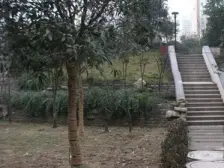 凤天路 凤鸣山水国际三房113万