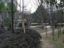 沙坪坝凤天路 端头户型采光好 随时看房 住家安静