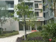 观音桥双轻轨 200米 住家精装 保养好 全款证在手
