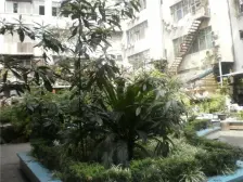 渝高公园旁 经典户型带渝高森林双制标 四轻轨交接处