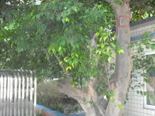 五里店 万丰花园二房83万