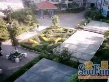 大坪 莲花国际一房