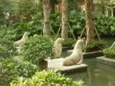 经开区 绿岸今朝一房36万