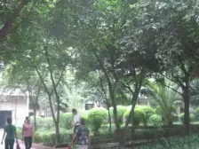 桂花园 2室1厅 西南