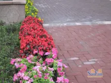 正规一室一厅,户型方正 采光通风好