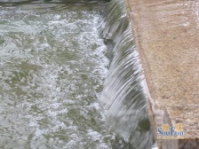 加州新牌坊 伟清泊客四房120万