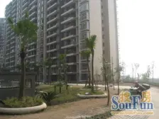 九龙半岛邻江小区 正规二房 近轻轨18号线滩子口站