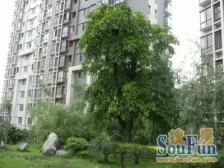 滩子口片区 广厦城江界二房