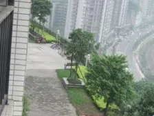 九龙半岛电梯小高层 一线看江三房 清水房 视野开阔