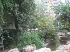 巴山车管所旁,大三房,采光好,业主急售!