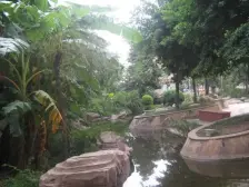 业主诚心出售,户型正,采光好,交通方便。