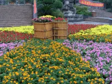 大渡口轻轨站旁 交通方便 公园多