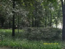 区府 枫丹筱筑水云居二房82万