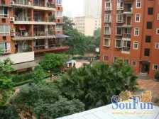 天星桥1室1厅带露台的,业主诚心出售