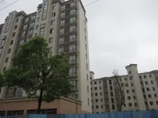 高区全南两房户型 别墅区一排 视野开阔无遮挡