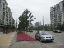 河滨鹭岛 3室2厅 南